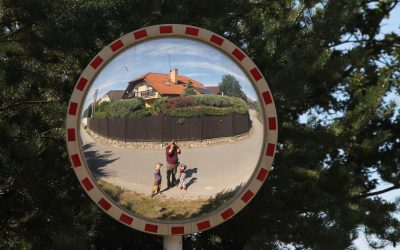 Domáce vzdelávanie vo svetle COVID-19