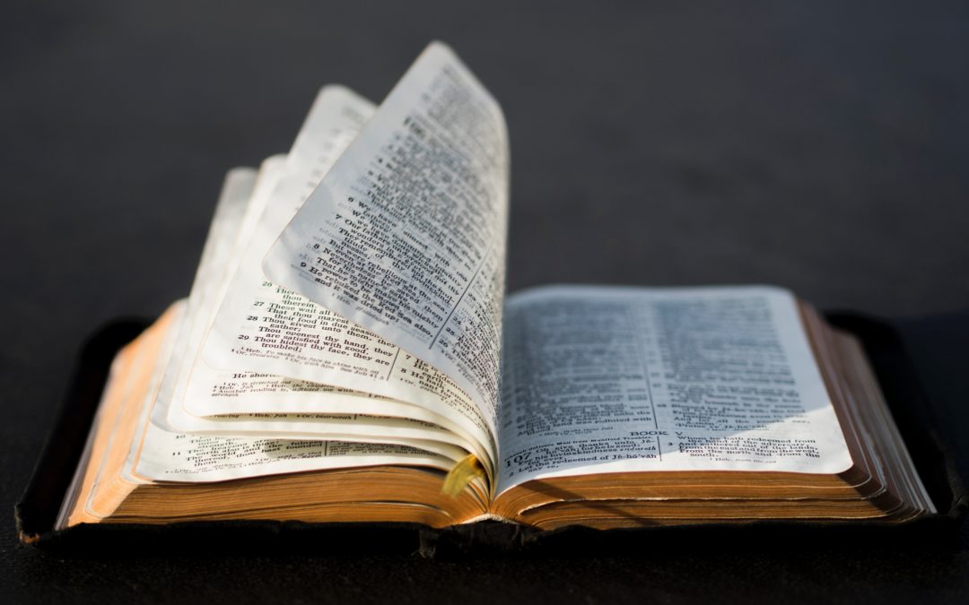Výskumy ukazujú, že čítanie Biblie je užitočné